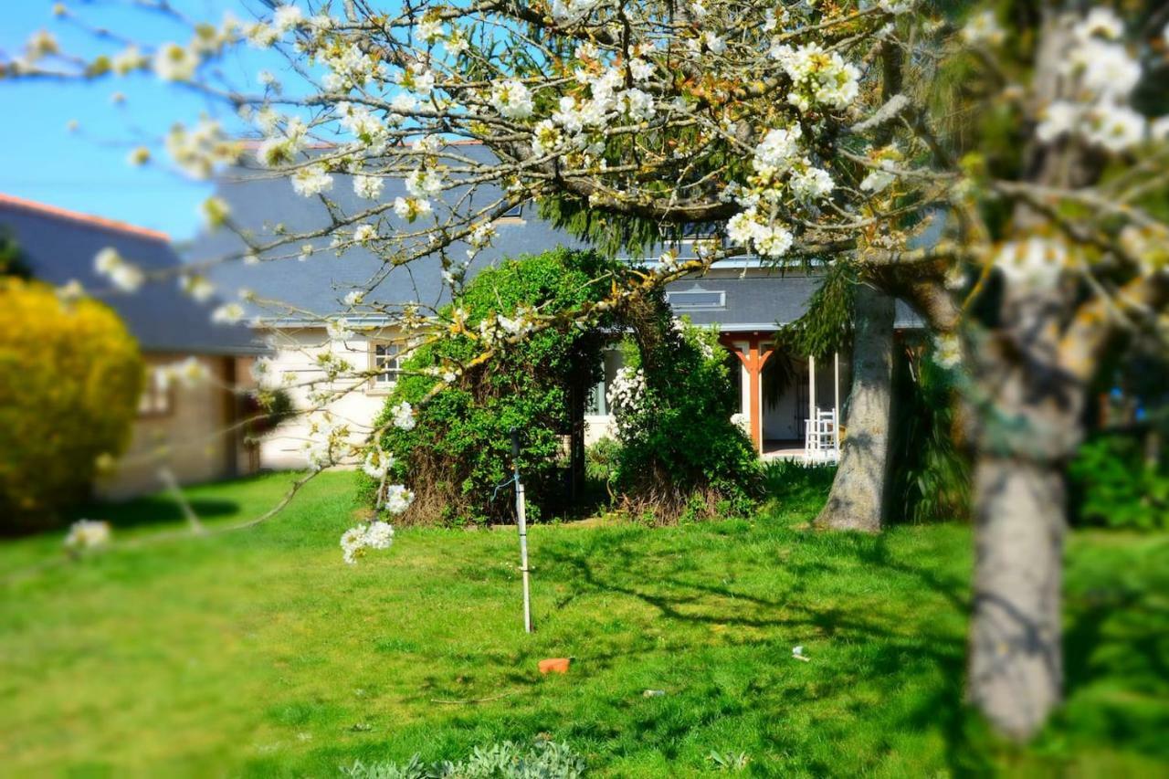 La Villa Bernard Varennes-sur-Loire Eksteriør billede